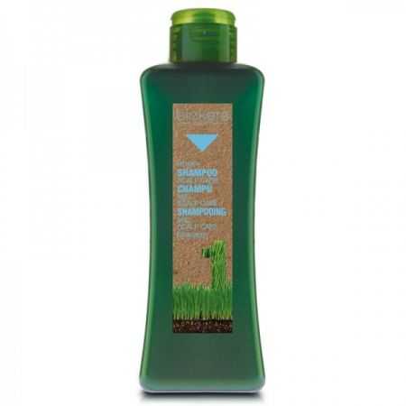 biokera-shampoing-scalp-care-miel-cuir-chevelu-sensible-300-ml.jpg BIOKERA SHAMPOING SCALP CARE MIEL CUIR CHEVELU SENSIBLE 300 ML – Image 1