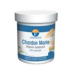 FENIOUX CHARDON MARIE 300 MG 90 GELULES
