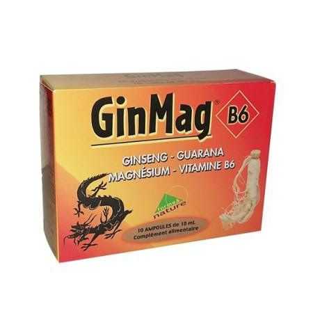 forme-et-nature-ginmag-b6-10-ampoules-ampoules-sirop-jus-pastilles.jpg FORME ET NATURE GINMAG B6 10 AMPOULES – Image 1