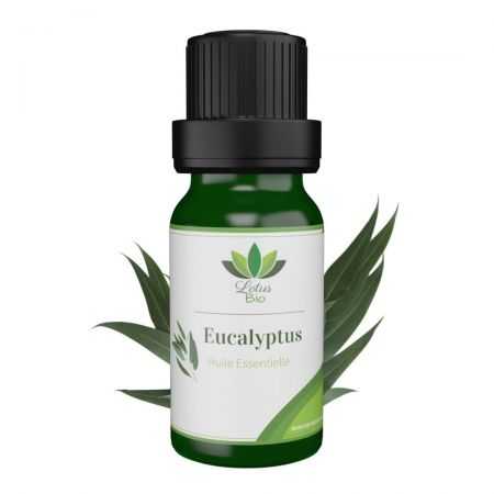lotus-bio-huile-essentielle-deucalyptus.jpg LOTUS BIO HUILE ESSENTIELLE D’EUCALYPTUS – Image 1