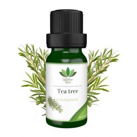 lotus-bio-lotus-bio-huile-essentielle-de-tea-tree-huiles-essentielles.jpg LOTUS BIO HUILE ESSENTIELLE DE TEA TREE – Image 1
