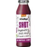 VOELKEL SHOT GINGEMBRE ET FRUITS ROUGES 280ML