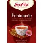 YOGI TEA INFUSION ECHINACEE 17 SACHETS